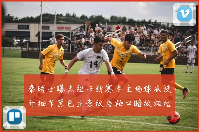 泰晤士曝光纽卡新赛季主场球衣设计细节黑色主条纹与袖口暗纹相结合